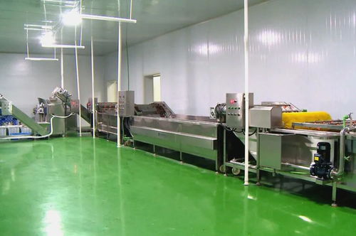 筑巢引鳳添動力，招商引資促發展 譜寫食用菌菌種進出口產業新篇章