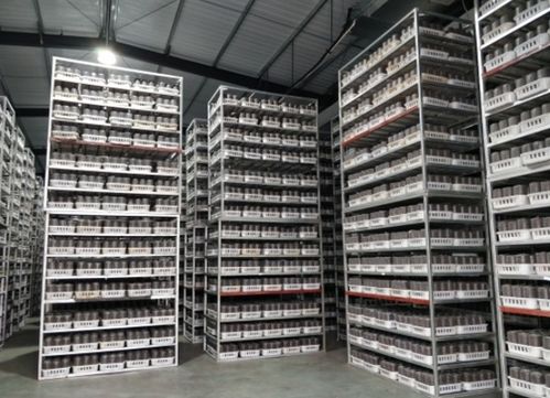 水城 一座菌種場撬動(dòng)億元級(jí)食用菌產(chǎn)業(yè)，領(lǐng)跑菌種進(jìn)出口