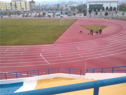 混合型自結(jié)紋跑道供應(yīng)商 廣州躍康 滁州混合型自結(jié)紋跑道