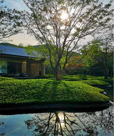 初見(jiàn)園林 佛山園林綠化設(shè)計(jì)施工 小學(xué) 市政 園林綠化養(yǎng)護(hù)