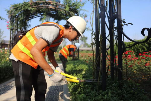 盛夏果實,不負(fù)光陰 人文園林綠化施工實操技能培訓(xùn)圓滿完成