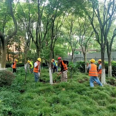 這座公園圍墻即將打開,實(shí)現(xiàn)與綠色空間的無(wú)界交流