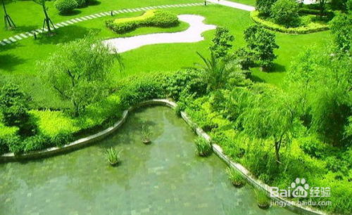 深圳花木租擺園林綠化施工與養(yǎng)護(hù)