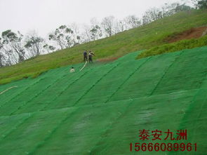 云南三維植被網(wǎng),邊坡植草綠化價格 廠家 圖片